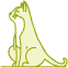 Kočka